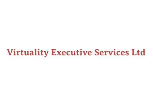 Virtually Executive Services LTD logo